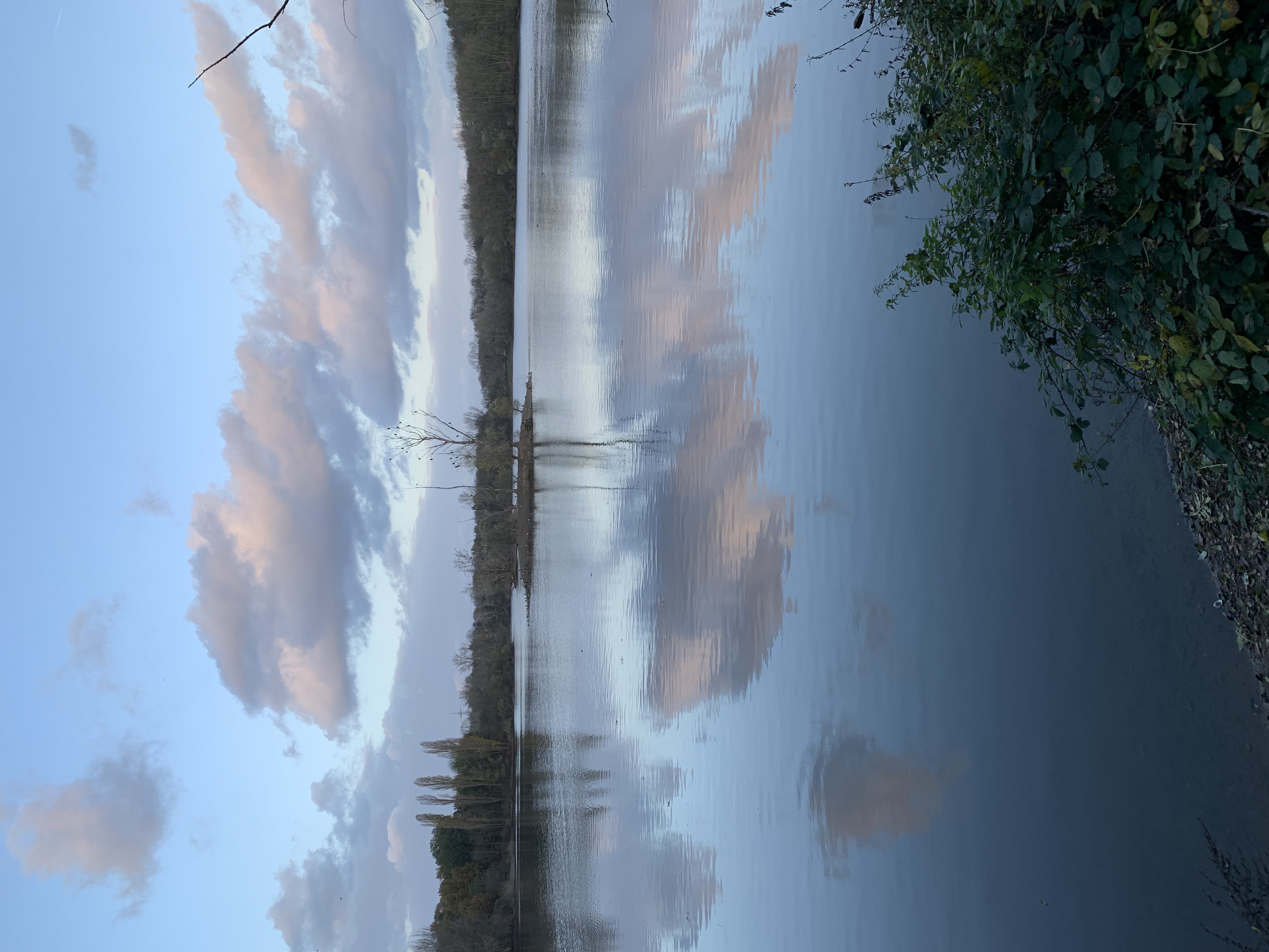 am Sieglarer See